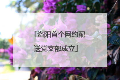 洛阳首个网约配送党支部成立