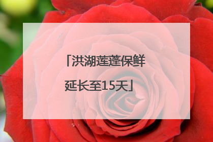 洪湖莲蓬保鲜延长至15天