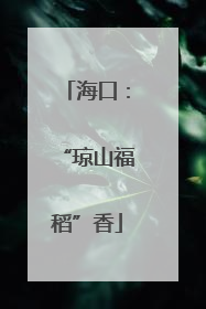 海口：“琼山福稻”香