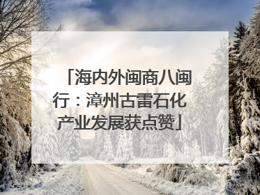 海内外闽商八闽行：漳州古雷石化产业发展获点赞