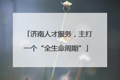 济南人才服务，主打一个“全生命周期”