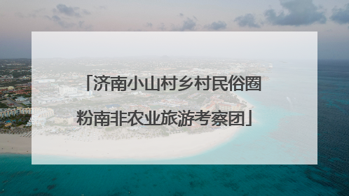 济南小山村乡村民俗圈粉南非农业旅游考察团