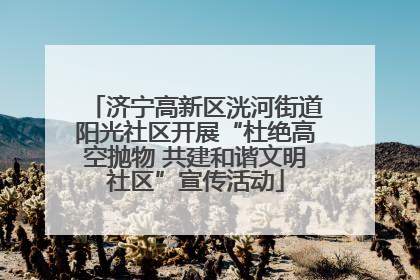 济宁高新区洸河街道阳光社区开展“杜绝高空抛物 共建和谐文明社区”宣传活动