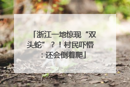 浙江一地惊现“双头蛇”？！村民吓懵：还会倒着爬