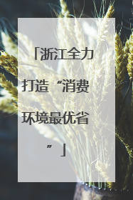 浙江全力打造“消费环境最优省”