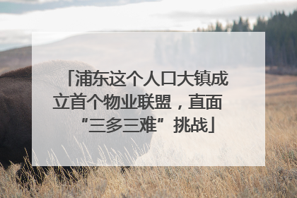 浦东这个人口大镇成立首个物业联盟，直面“三多三难”挑战