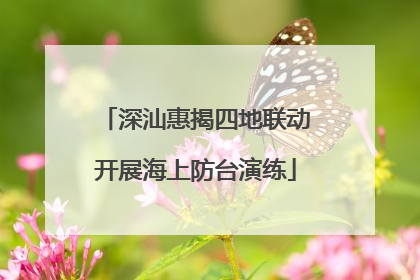 深汕惠揭四地联动开展海上防台演练