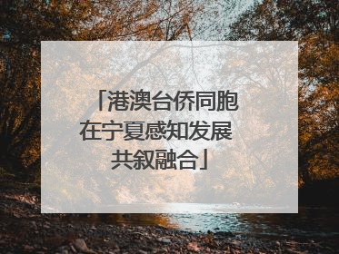港澳台侨同胞在宁夏感知发展 共叙融合