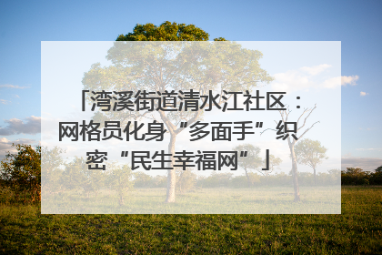 湾溪街道清水江社区：网格员化身“多面手”织密“民生幸福网”