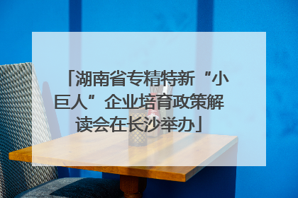 湖南省专精特新“小巨人”企业培育政策解读会在长沙举办