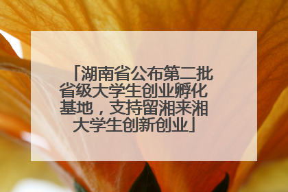 湖南省公布第二批省级大学生创业孵化基地，支持留湘来湘大学生创新创业