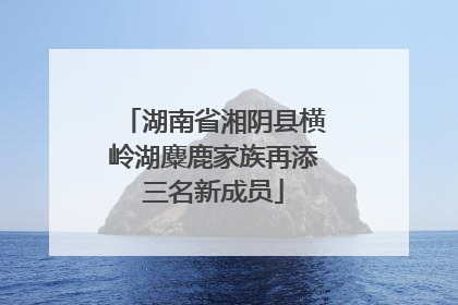 湖南省湘阴县横岭湖麋鹿家族再添三名新成员