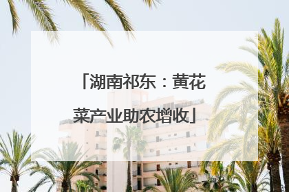 湖南祁东：黄花菜产业助农增收