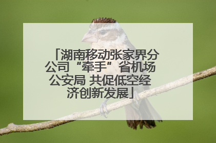 湖南移动张家界分公司“牵手”省机场公安局 共促低空经济创新发展