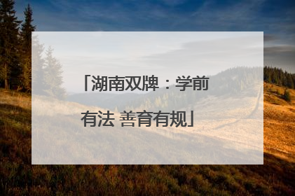 湖南双牌：学前有法 善育有规