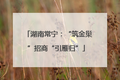 湖南常宁：“筑金巢”招商“引雁归”