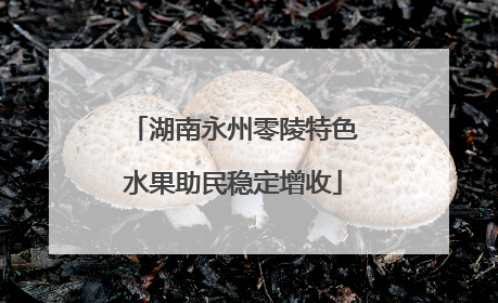 湖南永州零陵特色水果助民稳定增收