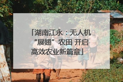 湖南江永：无人机“展翅”农田 开启高效农业新篇章