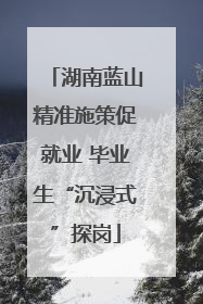 湖南蓝山精准施策促就业 毕业生“沉浸式”探岗