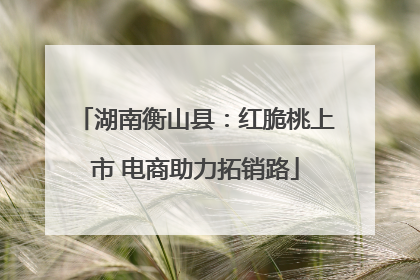 湖南衡山县：红脆桃上市 电商助力拓销路