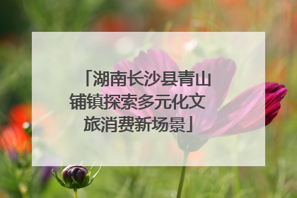 湖南长沙县青山铺镇探索多元化文旅消费新场景