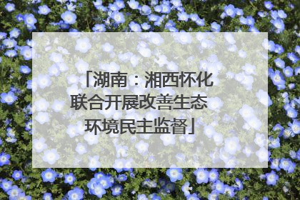 湖南：湘西怀化联合开展改善生态环境民主监督
