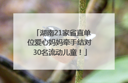 湖南21家省直单位爱心妈妈牵手结对30名流动儿童！