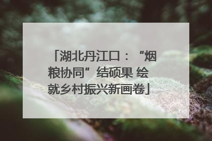 湖北丹江口：“烟粮协同”结硕果 绘就乡村振兴新画卷