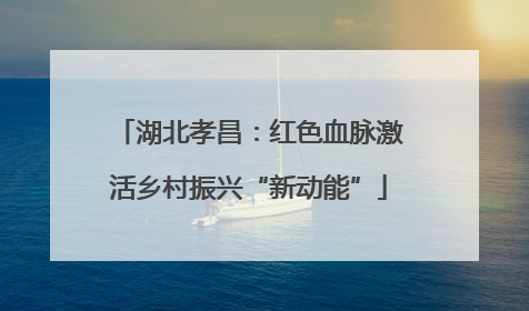 湖北孝昌：红色血脉激活乡村振兴“新动能”