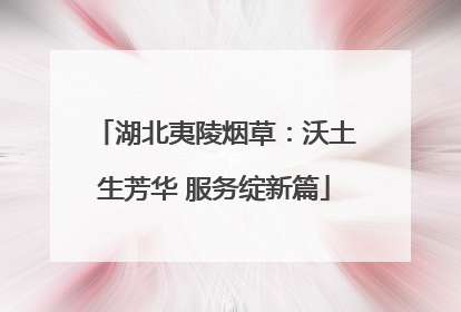 湖北夷陵烟草：沃土生芳华 服务绽新篇