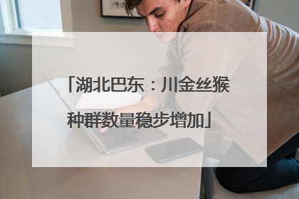 湖北巴东：川金丝猴种群数量稳步增加