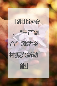湖北远安：“三产融合”激活乡村振兴新动能