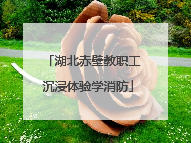 湖北赤壁教职工沉浸体验学消防