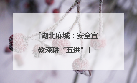 湖北麻城：安全宣教深耕“五进”