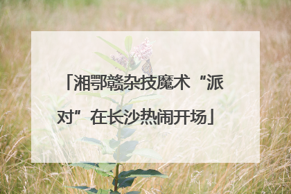 湘鄂赣杂技魔术“派对”在长沙热闹开场