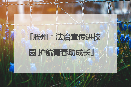 滕州：法治宣传进校园 护航青春助成长