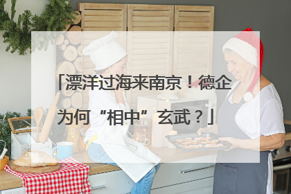 漂洋过海来南京！德企为何“相中”玄武？