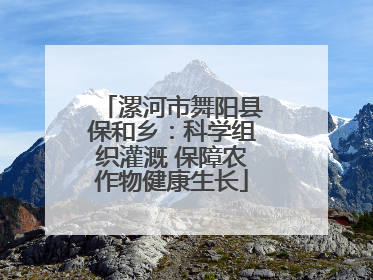 漯河市舞阳县保和乡：科学组织灌溉 保障农作物健康生长