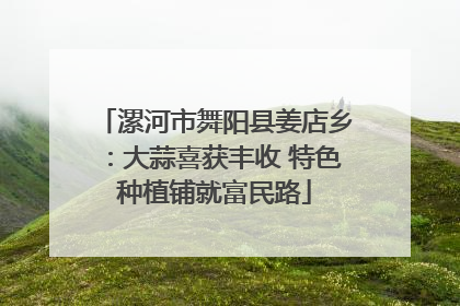 漯河市舞阳县姜店乡：大蒜喜获丰收 特色种植铺就富民路