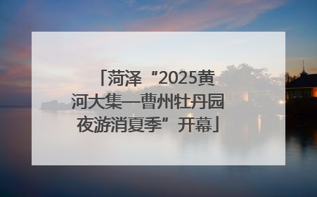 菏泽“2025黄河大集—曹州牡丹园夜游消夏季”开幕