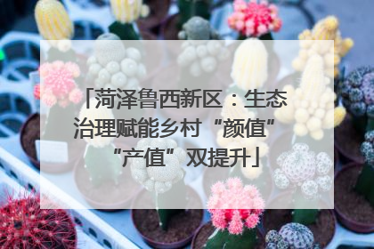 菏泽鲁西新区：生态治理赋能乡村“颜值”“产值”双提升
