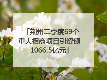 荆州二季度69个重大招商项目引资额1066.5亿元