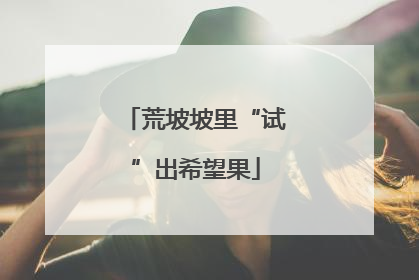 荒坡坡里“试”出希望果