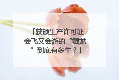 获颁生产许可证 会飞又会游的“鲲龙”到底有多牛？