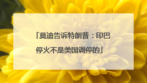莫迪告诉特朗普：印巴停火不是美国调停的