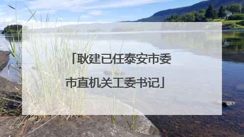 耿建已任泰安市委市直机关工委书记