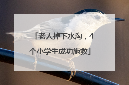 老人掉下水沟，4个小学生成功施救