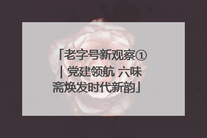 老字号新观察①｜党建领航 六味斋焕发时代新韵
