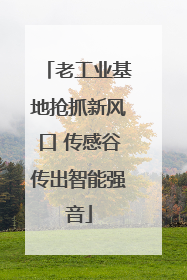 老工业基地抢抓新风口 传感谷传出智能强音