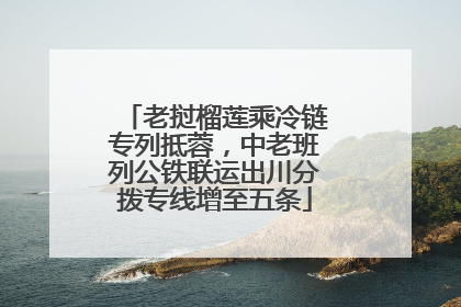 老挝榴莲乘冷链专列抵蓉，中老班列公铁联运出川分拨专线增至五条